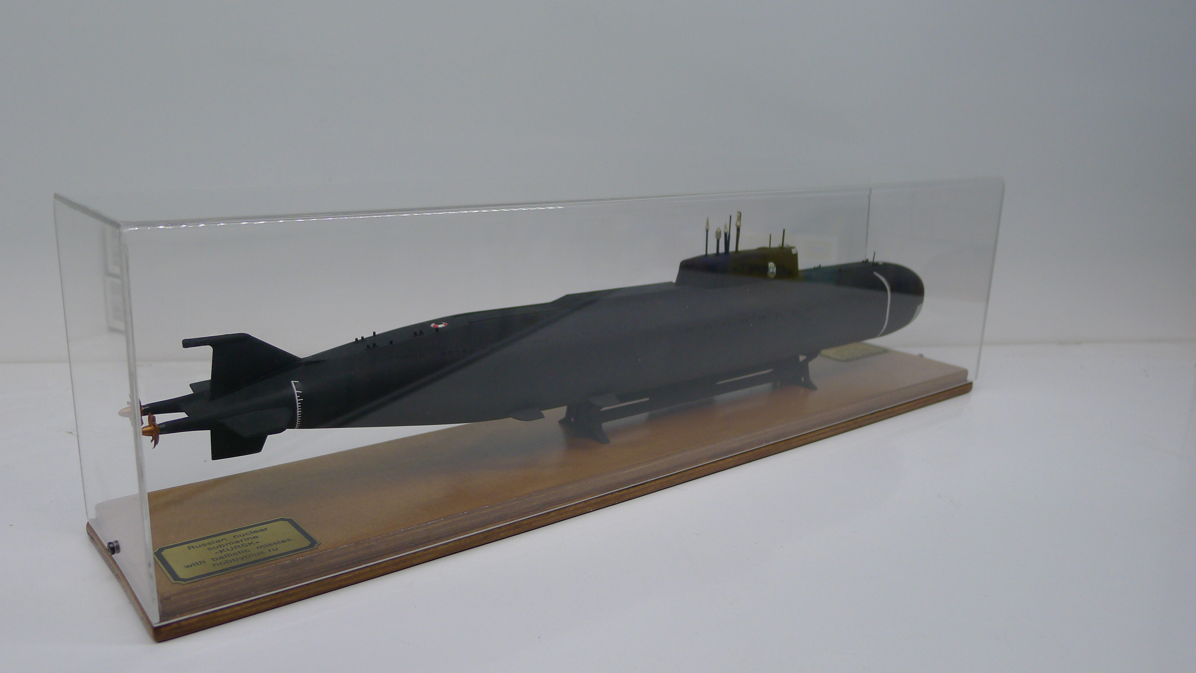       -141 .     .   45 ,   47 . Model of the Russian nuclear submarine missile boat K-141 