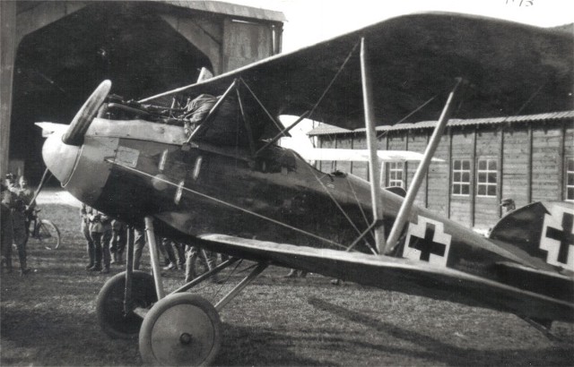 Сборная модель Германский самолет Albatros D.III OAW, масштаб 1/32, артикул: Rod608 # 10 hobbyplus.ru