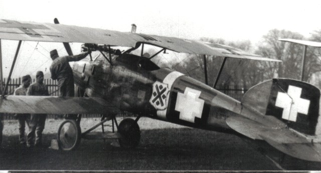 Сборная модель Германский самолет Albatros D.III OAW, масштаб 1/32, артикул: Rod608 # 9 hobbyplus.ru