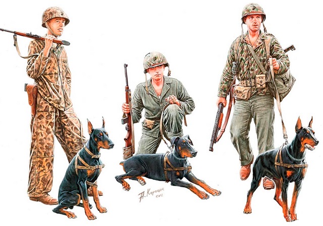 Сборная модель Собаки на службе в корпусе морской пехоты США, 2МВ, производства MASTER BOX, масштаб 1:35, артикул 35155 # 2 hobbyplus.ru